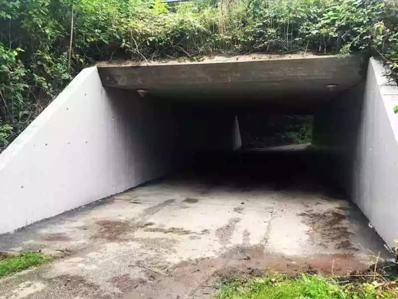 tryg tunnel odder kommune